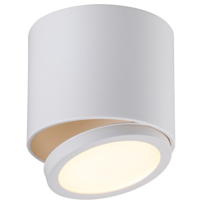 Спот Canicatt OML-20501-01