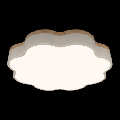 Потолочный светильник Axel 10225/36 White